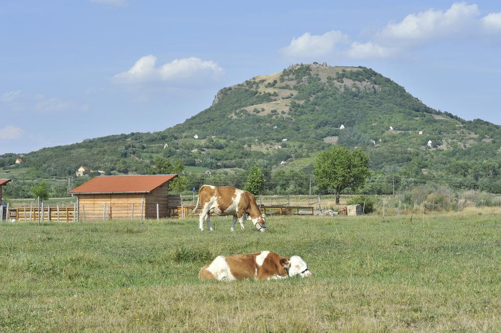Gyulavezér Lovasbirodalma Gyulakeszi Extérieur photo
