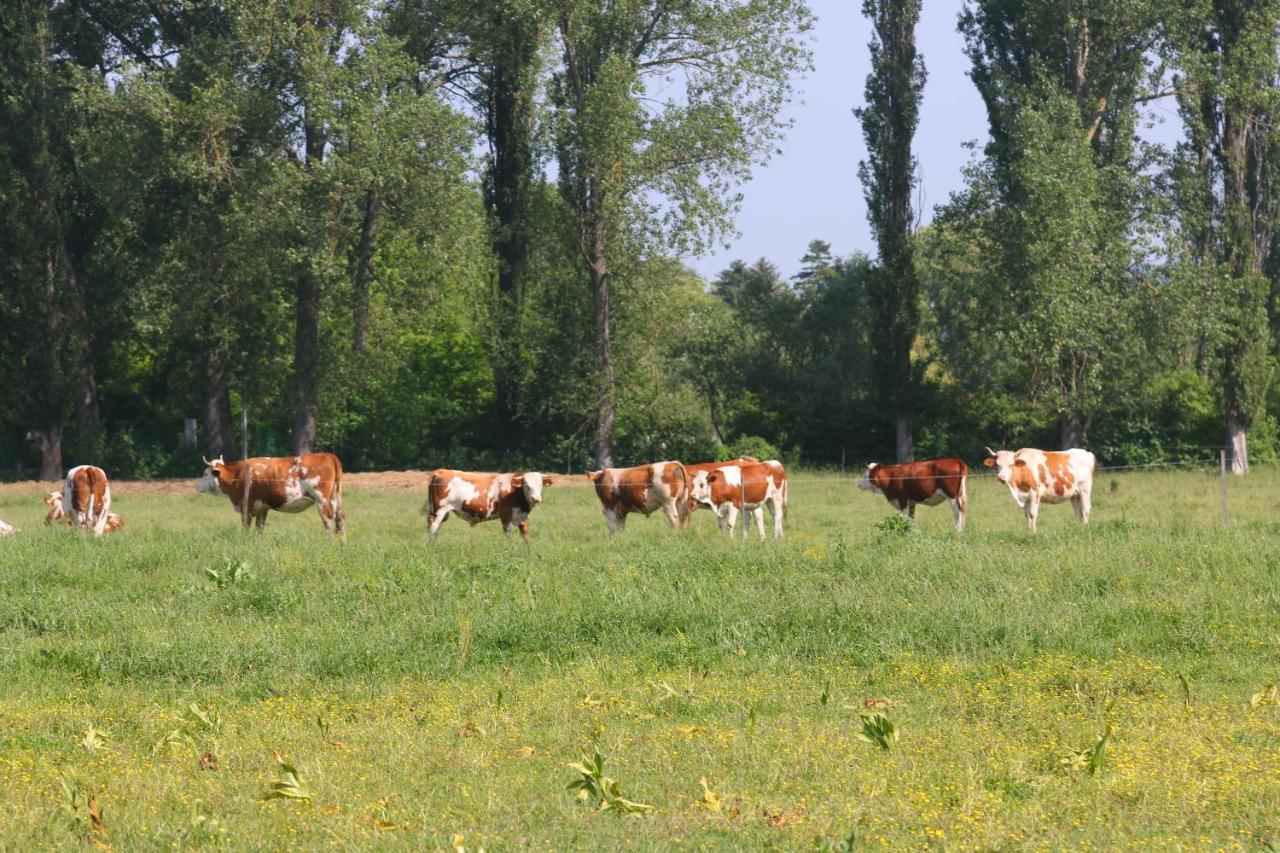 Gyulavezér Lovasbirodalma Gyulakeszi Extérieur photo